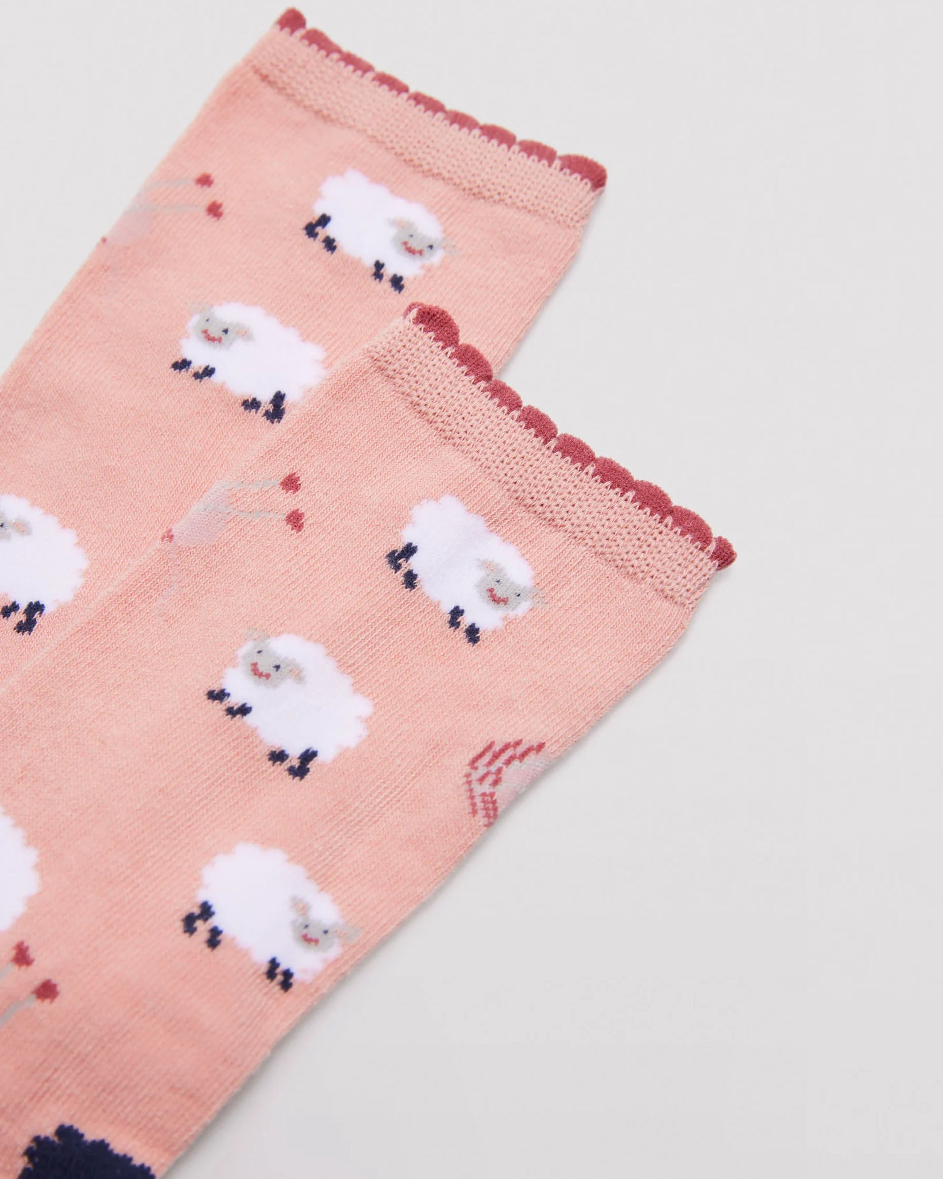 Ysabel Mora 12206 Sheep Socks - Peach crew length cotton ankle socks with an all over pattern of white sheep with the odd navy sheep, terracotta coloured scalloped edge elasticated cuff detail.